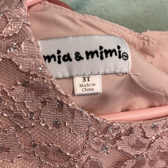 Adorable and Classic Pink Lace Girl Dress - Picture 2 of 6